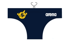 Arena WP brief ( SVH )